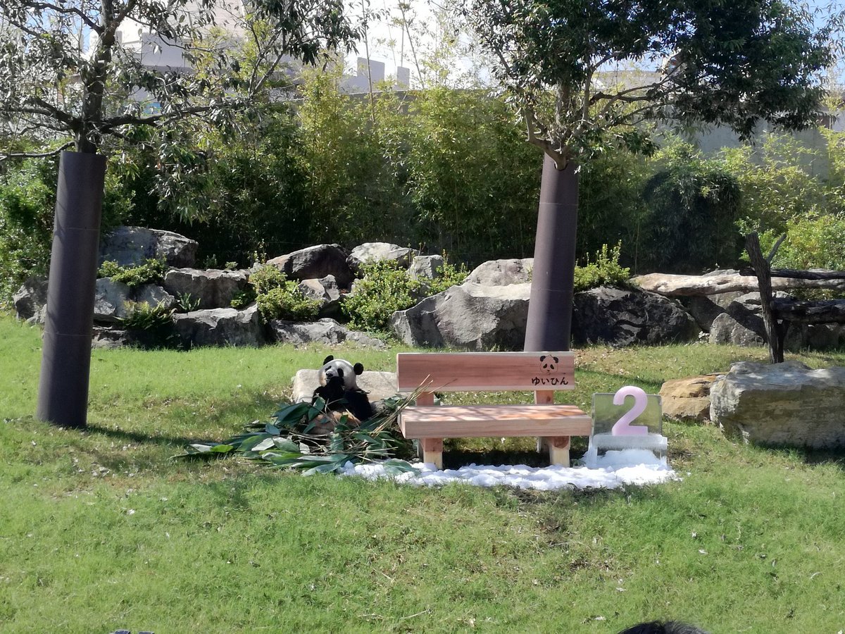 結ちゃん、おはよ〜🎀
基地に着いてお部屋に入る動画を見て少し安心したよ。永明さんに似て穏やかに状況を受け入れるところが本当に偉いね！もうスタッフさんとは仲良しになったかな。逆にメロメ口にさせているんじゃないかな
18.sep.2018 / 2歳お誕生日会
#結浜 #yuihin #jiebang #浜家