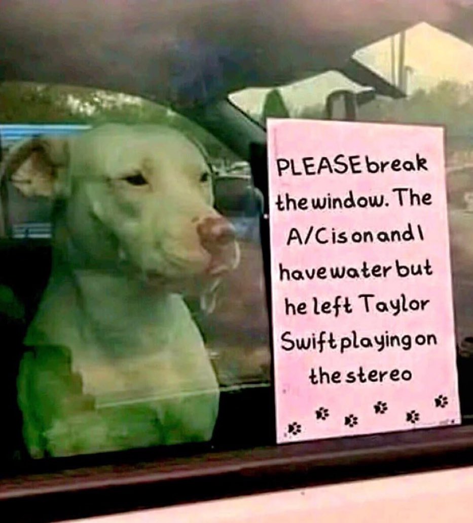 GvIJdpyXEAAsB_3