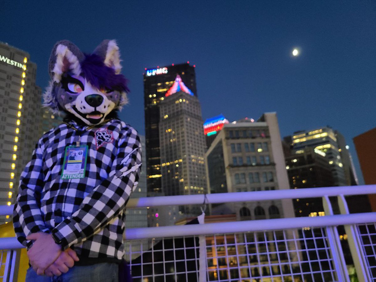 Moonpie 🚑✈️ tweet media