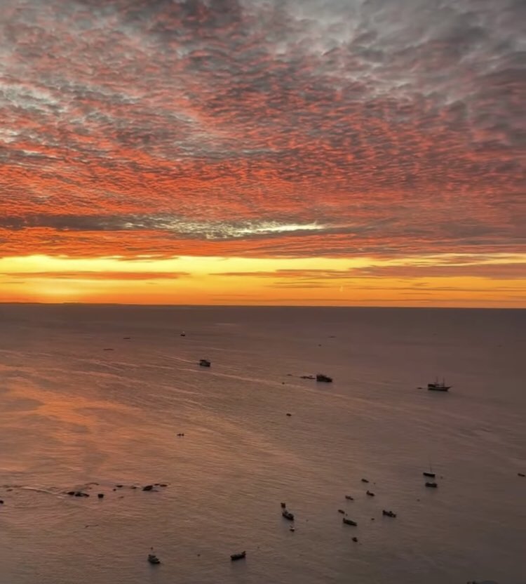 Robertto_S50B tweet media