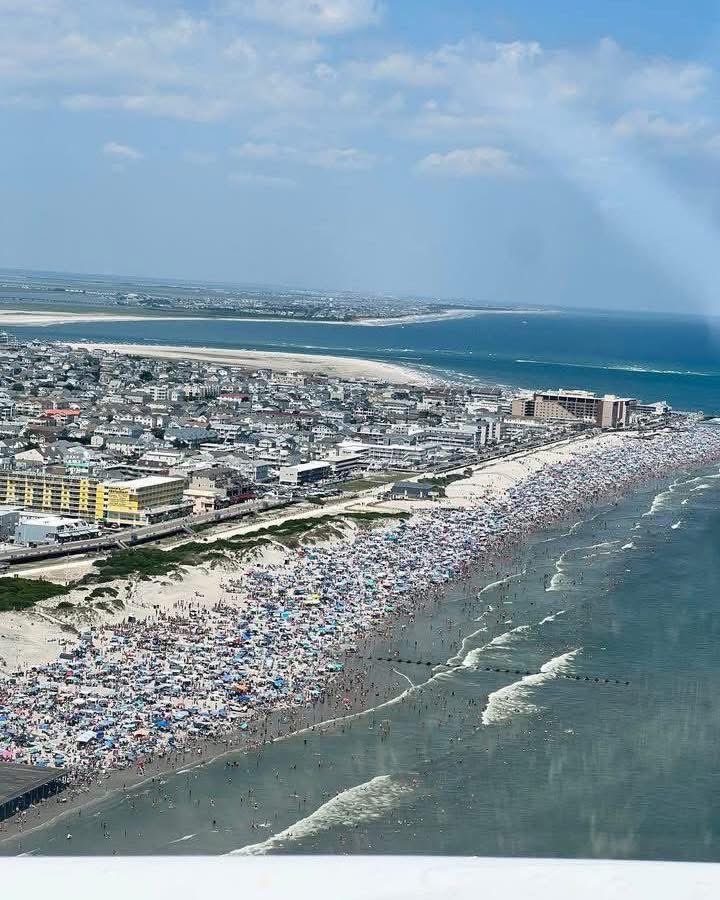 Can you spot me?

#WildwoodDays