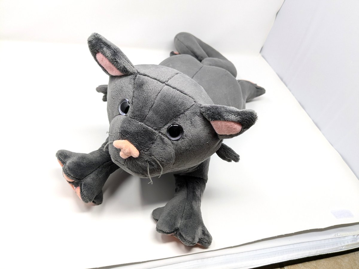 CreationsGoldfi's tweet photo. Plush cat on sale at my shop:
https://t.co/UJvHv1BDfn https://t.co/PyM759zi1F