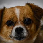 おはようございます💖