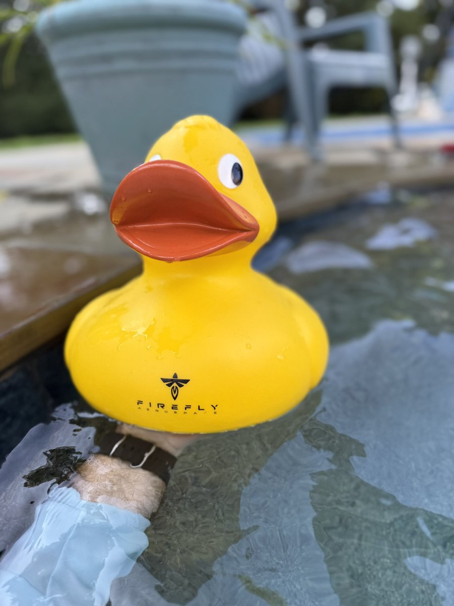 SpaceTruitt's tweet photo. One of the biggest hits for our family’s pool this summer…courtesy of @Firefly_Space @Jason_Lil_Kim https://t.co/50alvPp8fi