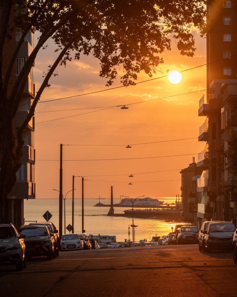 Uy_Paisajes's tweet photo. Atardeceres mágicos en la calle durazno 🌅
📍Durazno esq. Convención , Montevideo. https://t.co/Zmc808u9OG