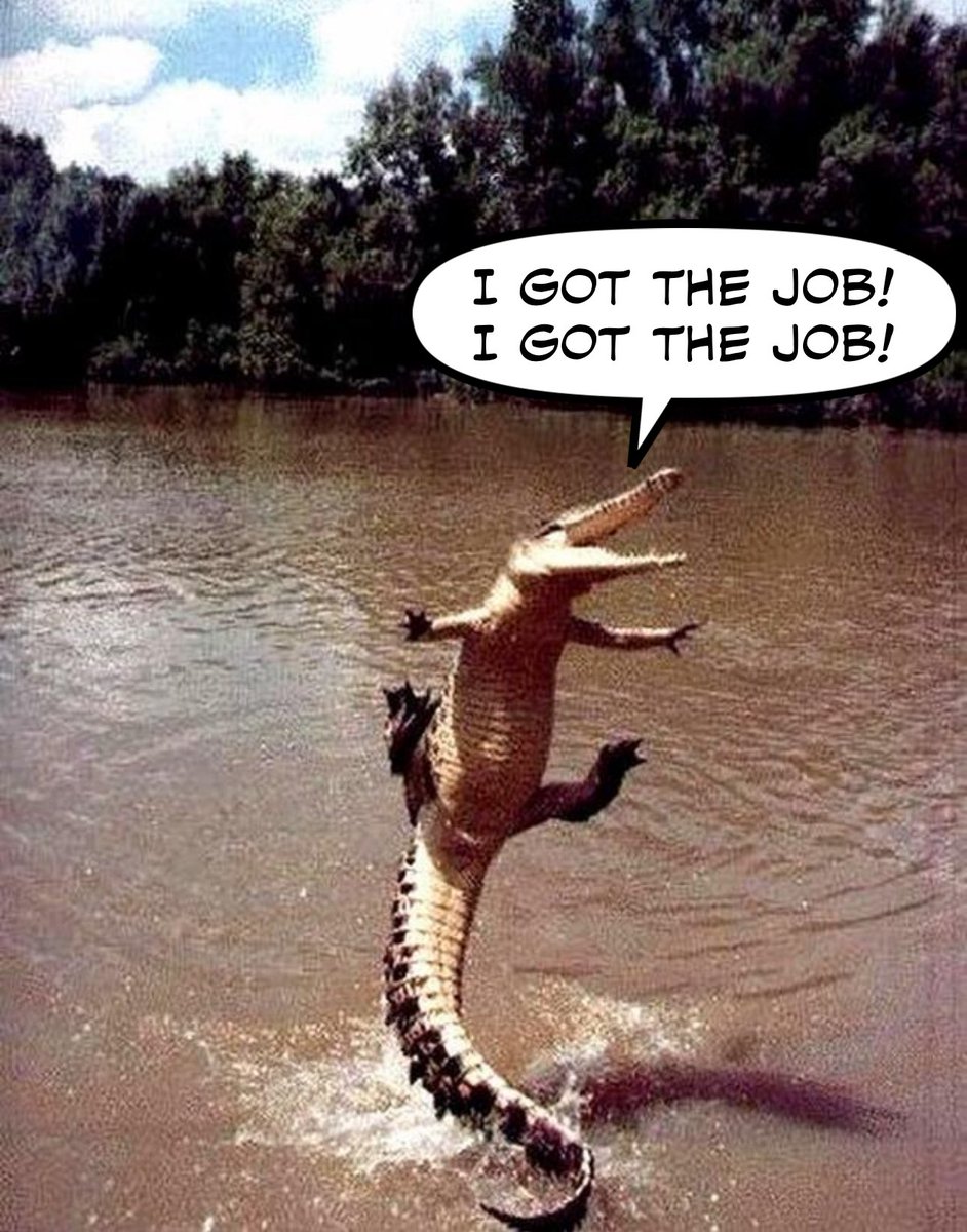 SwedishCanary's tweet photo. Newly employed Floridians… https://t.co/4iHuY3Zwe6