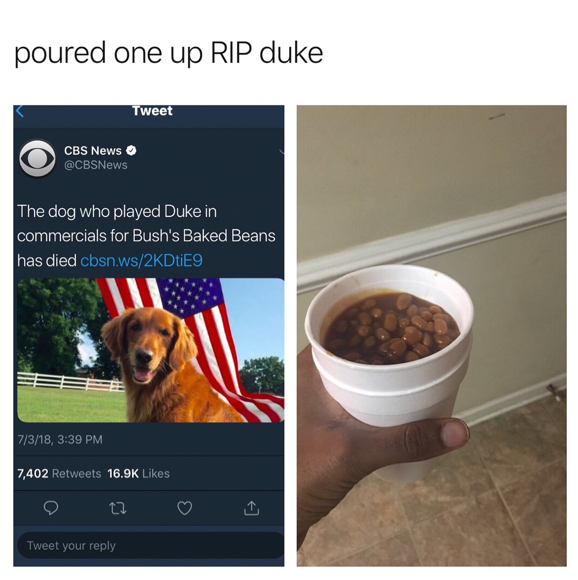 i like food tweet media