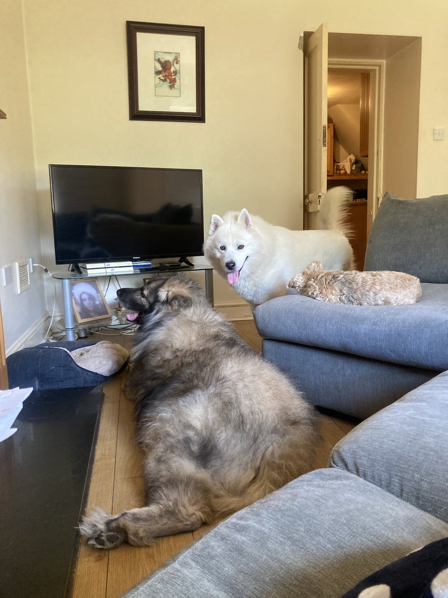 My pack ❤️