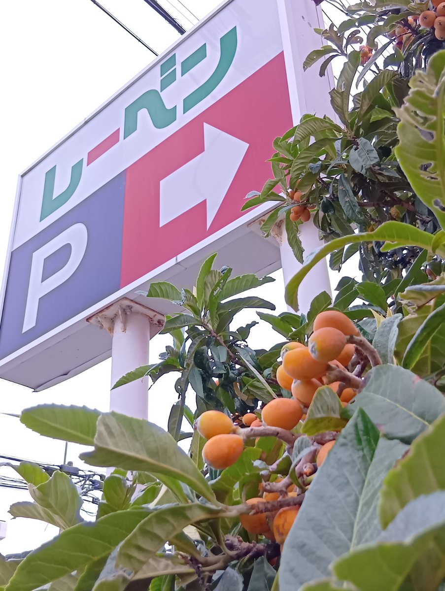 ShinshuUedaPAT's tweet image. おはようございます！
#上田原 は、薄曇り☁
湿度が高めで風がなく
#chocozap から出ると汗が流れました💦
7月6日　日曜日
うちの自治会は、今日から資源回収はサマータイムで朝8時になります。暑くてたいへんですから。