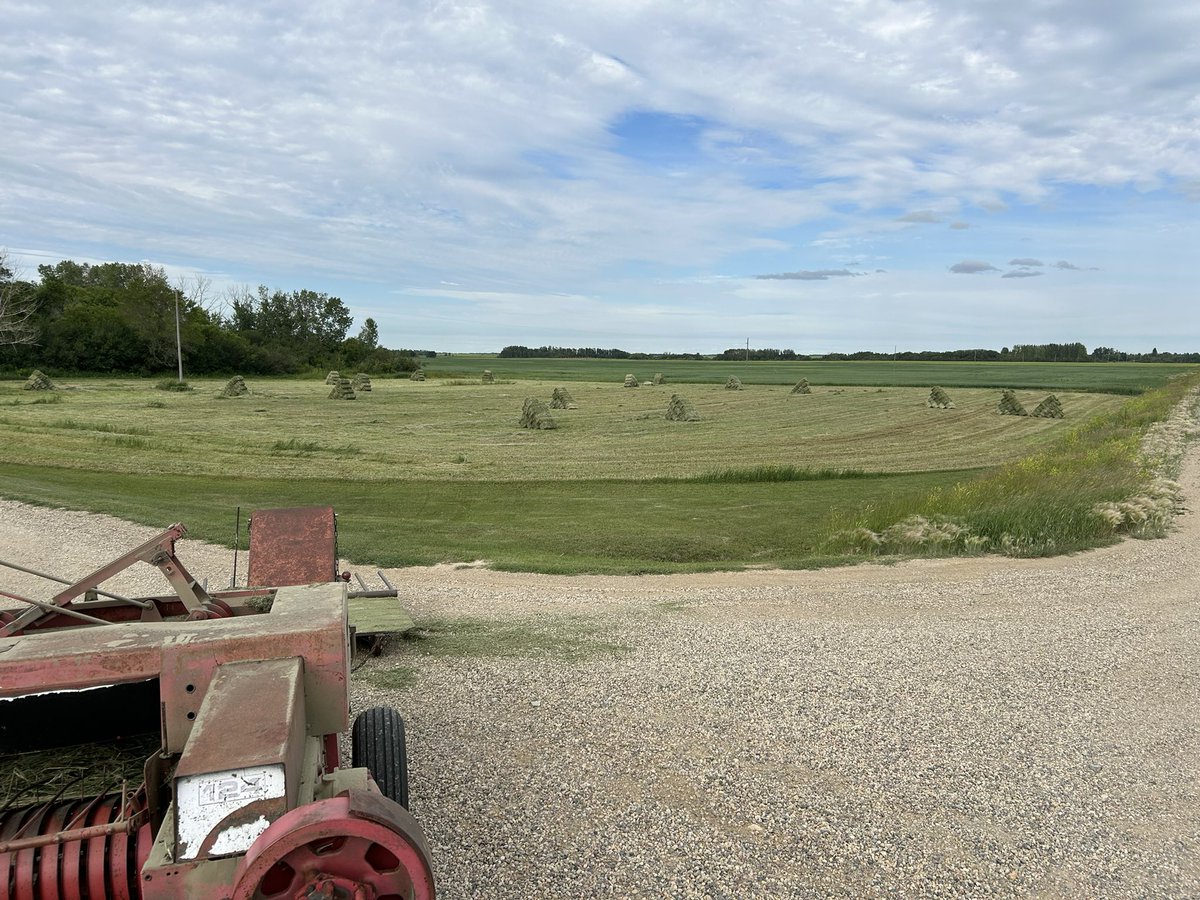 Dwight odelein 🧢 (@odeleindwight) on Twitter photo 