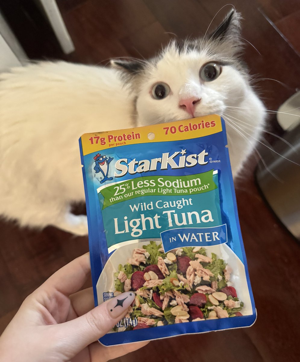 do we think my cat knows how to read