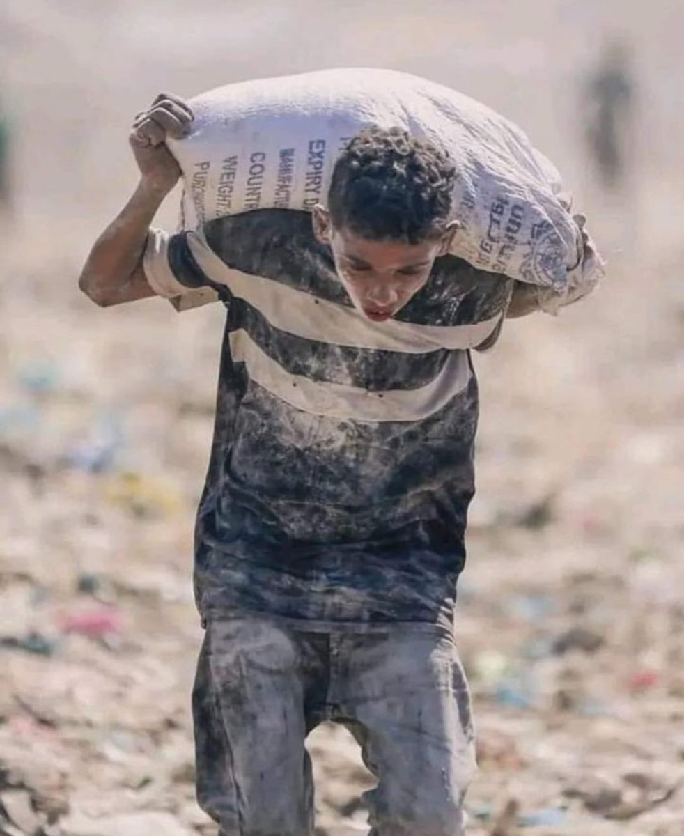 هناك أموات لم تمُت كلماتهم ، وهناك أحياء لم نسمع لهم صوتاً.

#نجيب_محفوظ 
#تطبيع_فوق_الجثث
