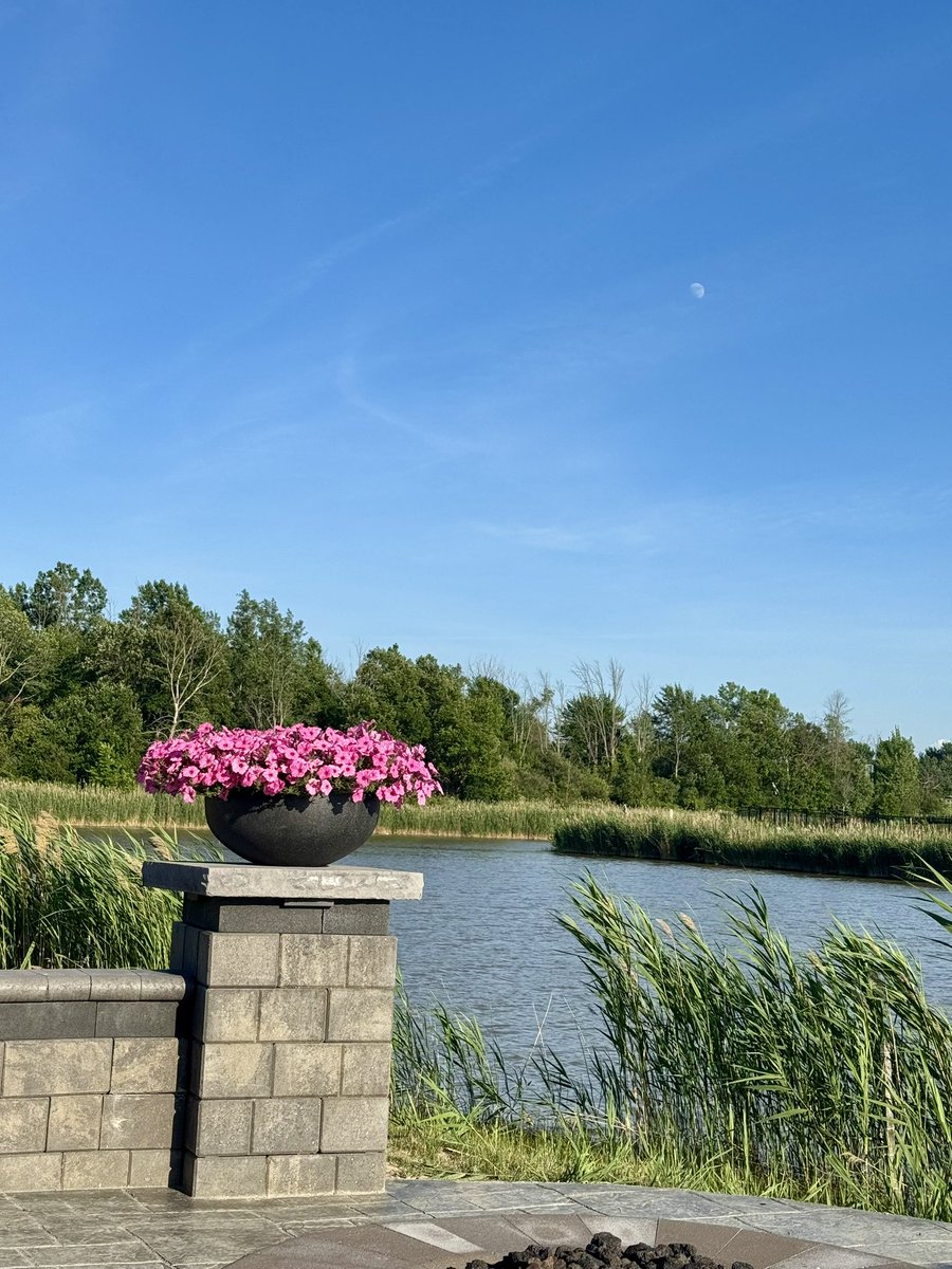 “#不要忘记每天看月亮”🌝
~~~ #坂本龙一

美东傍晚6:50pm
太阳挂在西边 🌤️
月亮己上中天🌛
日月同辉😍
美好♨️