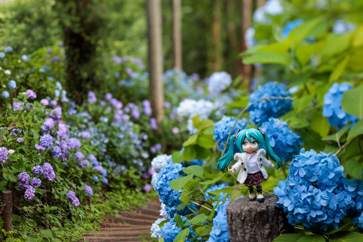 山を彩るグラデーション