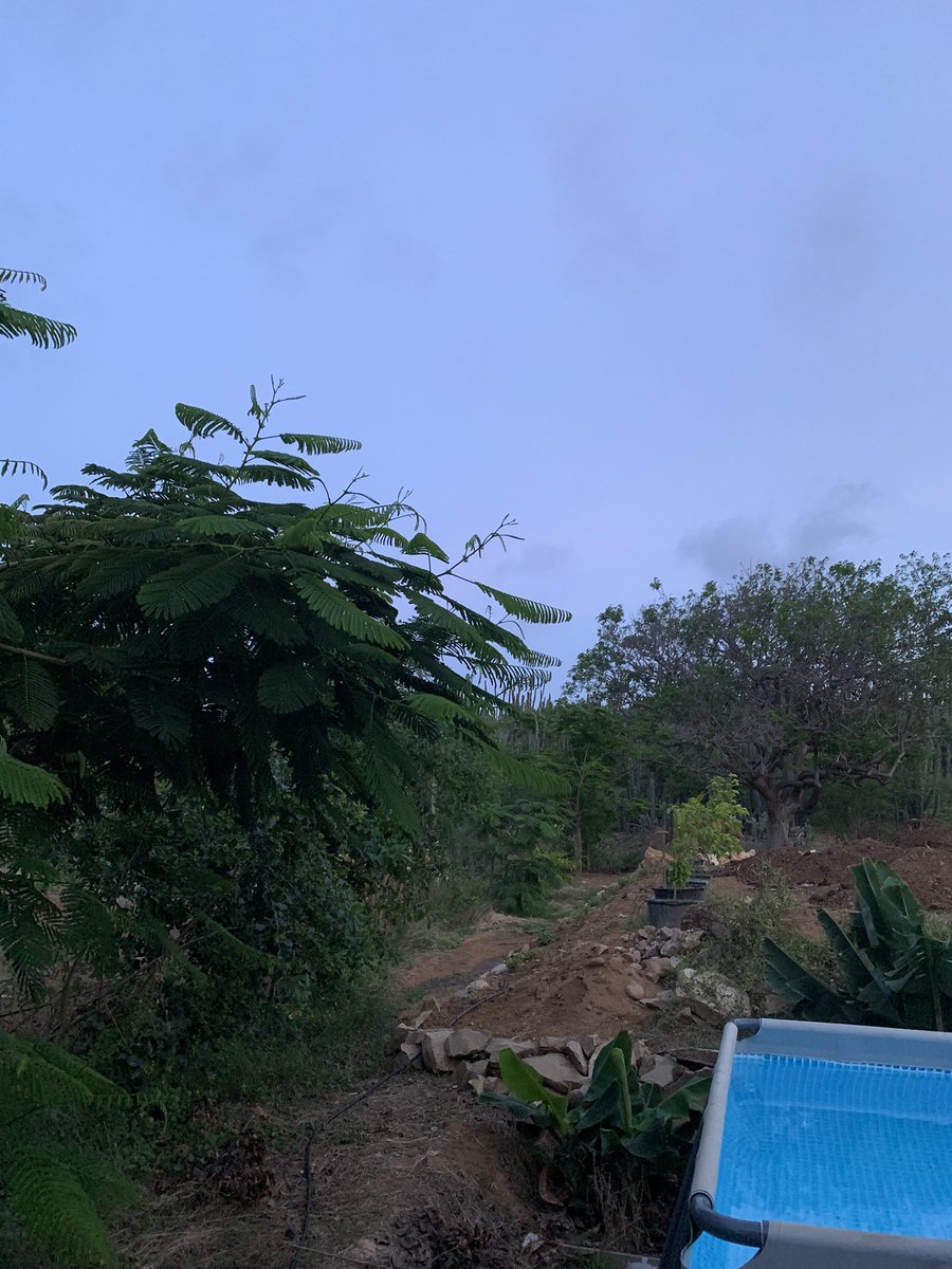 Voorlopig de laatste avond in de achtertuin op #Bonaire 
Morgen op vakantie naar Nederland.