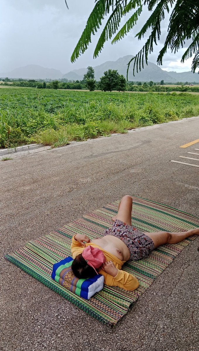 ถนนหนทางธรรมชาติและป่าเขา2