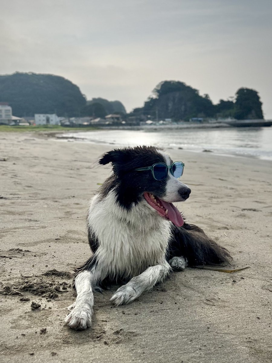 昨日は海で遊んできました🌊

川も楽しいけど海の開放感はやっぱ格別ですね😊✨