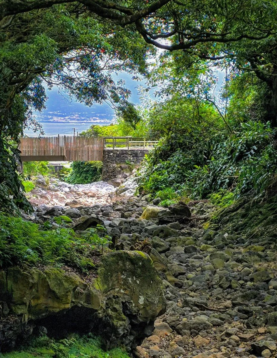 [ 🌳 Faial 🏞️ &amp; 🏘️ Pico 🌊 ] 👀

Pias de Pedro Miguel, Faial Island, #Azores 🇵🇹

#landscape #portugal #island #photos #green #nature <a href="/visiteurope/">Visit Europe</a> <a href="/visitportugal/">Visit Portugal</a> <a href="/turismoportugal/">Turismo de Portugal</a> <a href="/visitingazores/">Visit Azores</a> <a href="/AzoresWhatElse/">Azores, What Else!</a> <a href="/lonelyplanet/">Lonely Planet</a> <a href="/NatGeoPhotos/">Nat Geo Photography</a> <a href="/NatGeoTravel/">Nat Geo Travel</a>