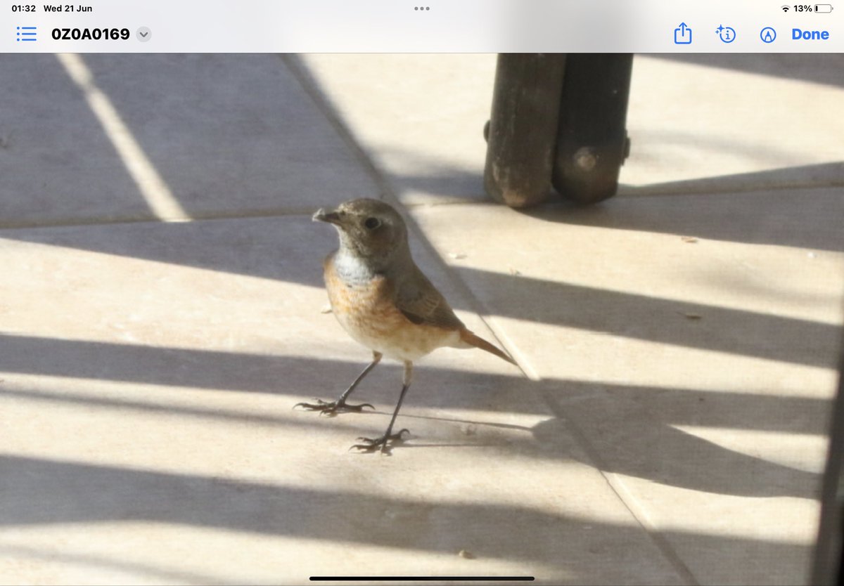 Phil Clancy tweet media