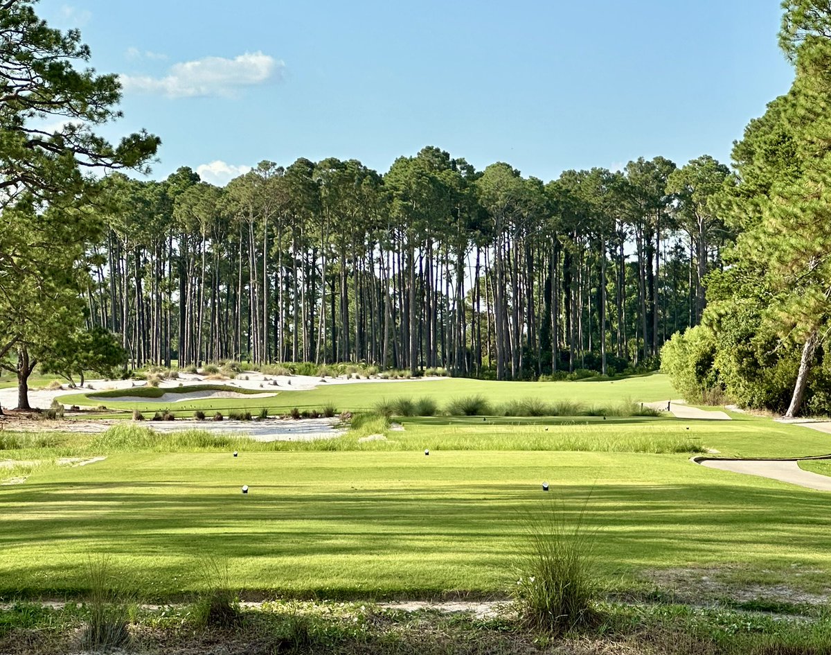 bergingolf's tweet image. More from Santa Rosa Beach!
