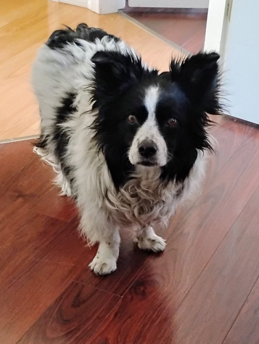 Hi frens Happy Saturday I just got the best news I was supposed to get a Baff 😳 today and sumfins wrong with our water sum don't have any in the neighborhood we have  very low pressure Whateva till they fix it  No Baff 👊😁 Momma's face🙄😩