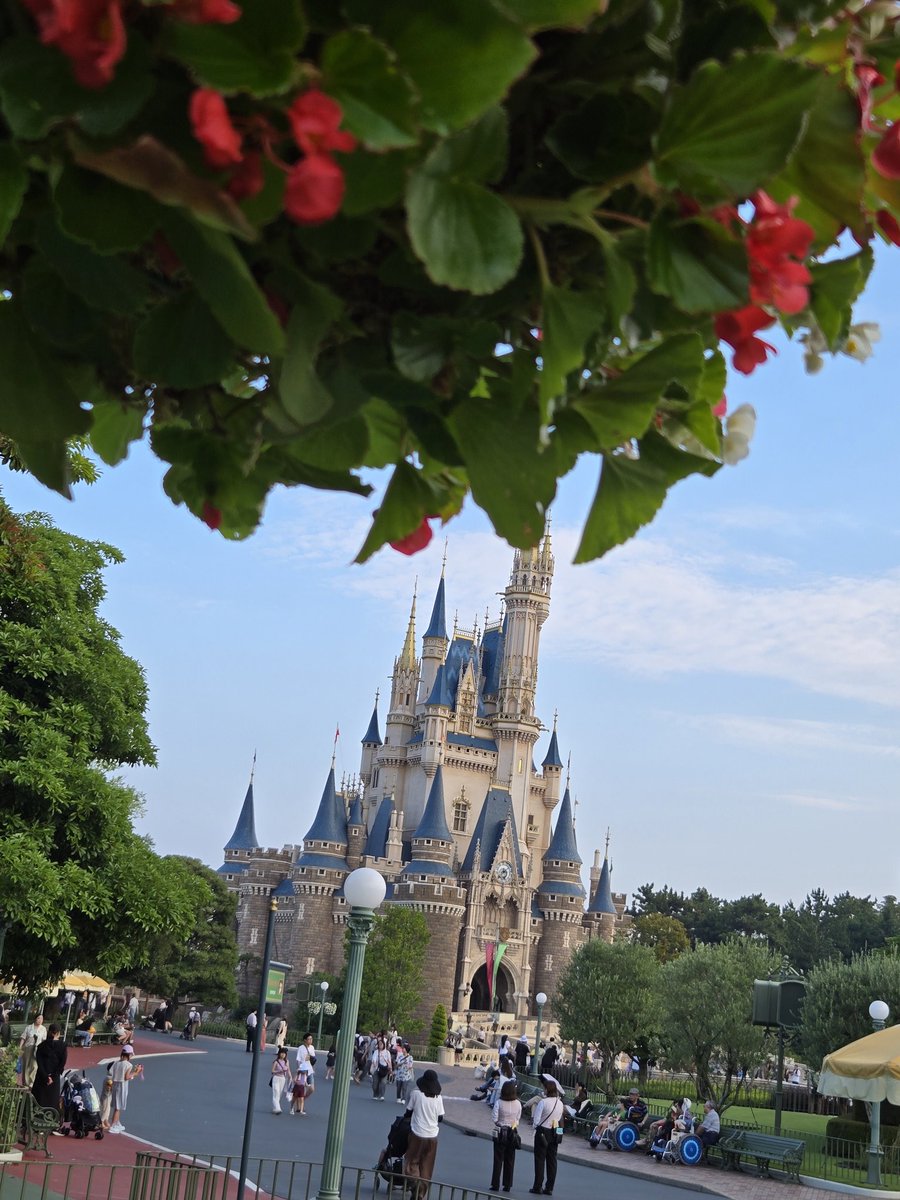 ディズニー最高でした！！