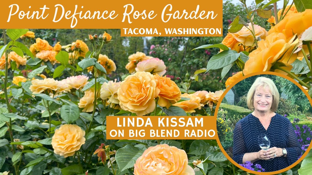 Big Blend Radio & Magazines (@bigblendmag) on Twitter photo Travel writer Linda Kissam, “Food, Wine & Shopping Diva,” <a href="/LindaKissam/">Linda Kissam</a> shares the beauty and history of the Point Defiance Rose Garden in Tacoma, Washington. Hear her on #BigBlendRadio now: youtu.be/C36PMZX1y_U?fe… #roses #Tacoma #PNW Travel writer Linda Kissam, “Food, Wine & Shopping Diva,” <a href="/LindaKissam/">Linda Kissam</a> shares the beauty and history of the Point Defiance Rose Garden in Tacoma, Washington. Hear her on #BigBlendRadio now: youtu.be/C36PMZX1y_U?fe… #roses #Tacoma #PNW