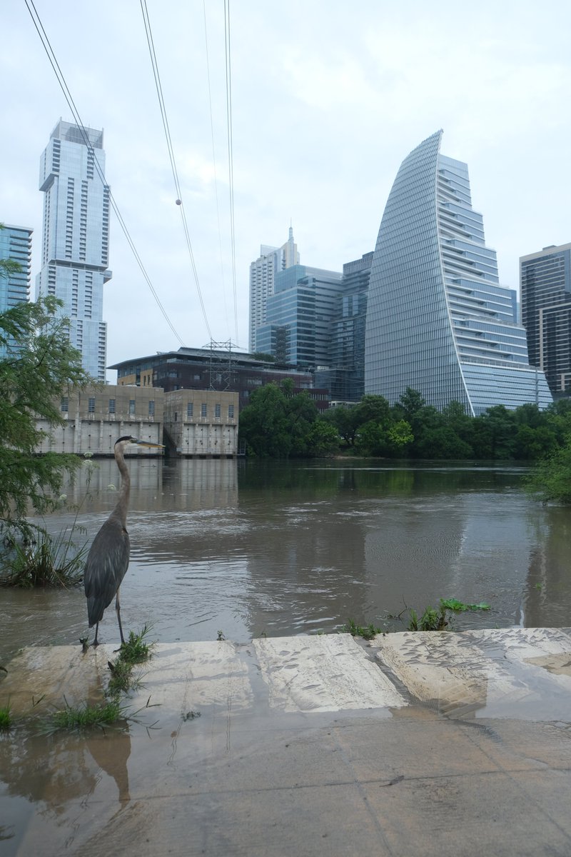 A few Downtown ATX post 2025 Central TX Flooding photos