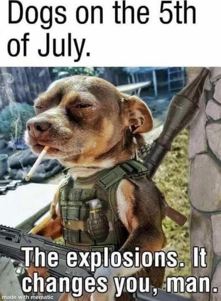 <a href="/FightWithMemes/">Fight With Memes</a> Sending day-after #4thOfJuly memes: