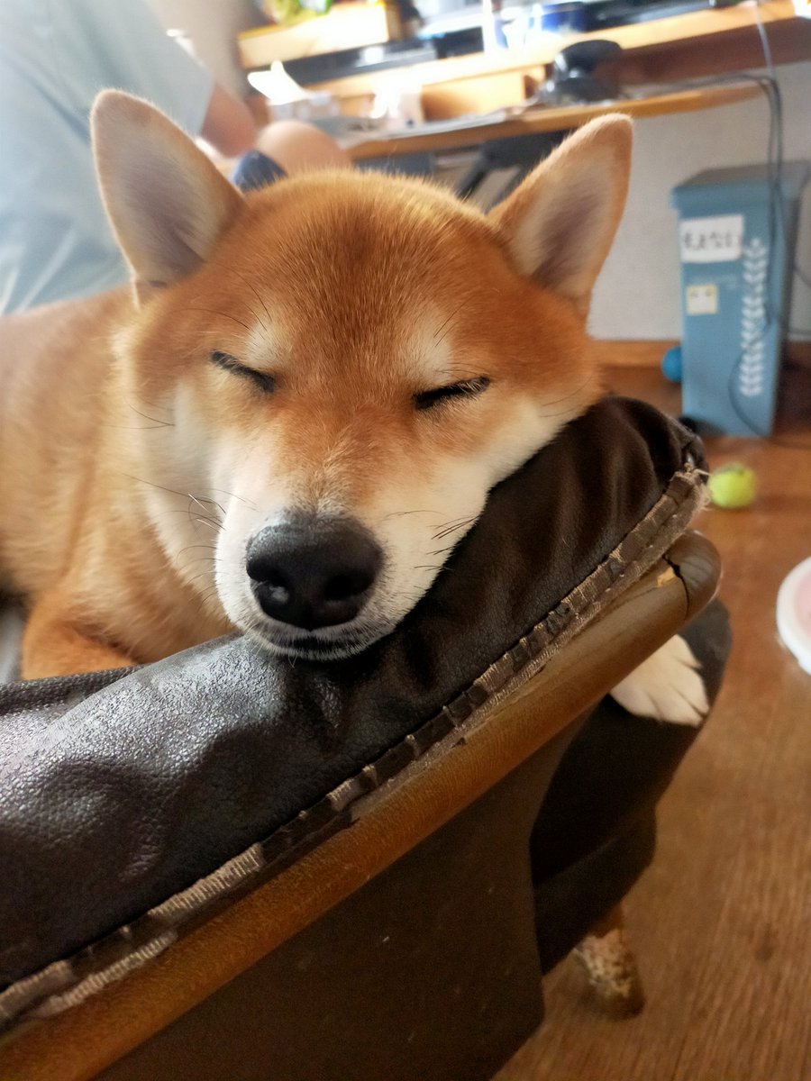 おはようございます🎵
まだねむい(笑)