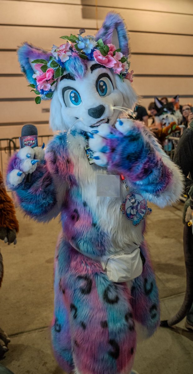 Found a shiny in the wild >:D <a href="/Astra_The_Kitty/">Astra</a>