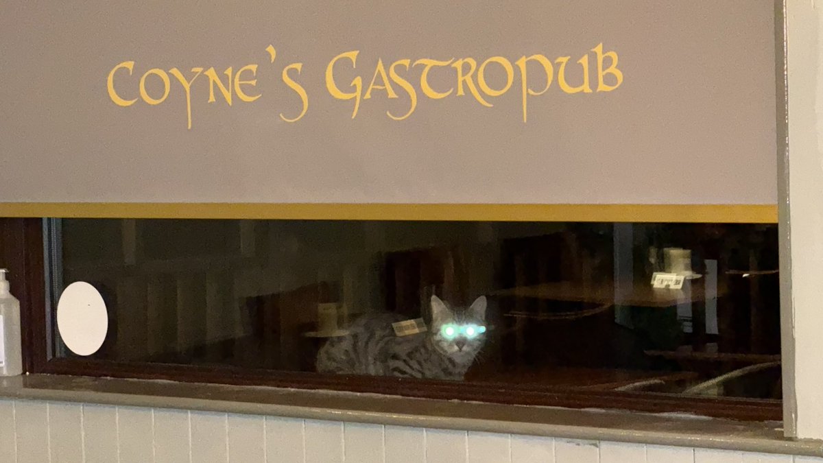 CoynesGastropub's tweet image. Ever get the feeling that you’re being watched 👀

#PubLife #Connemara #Galway #Ireland #WildAtlanticWay