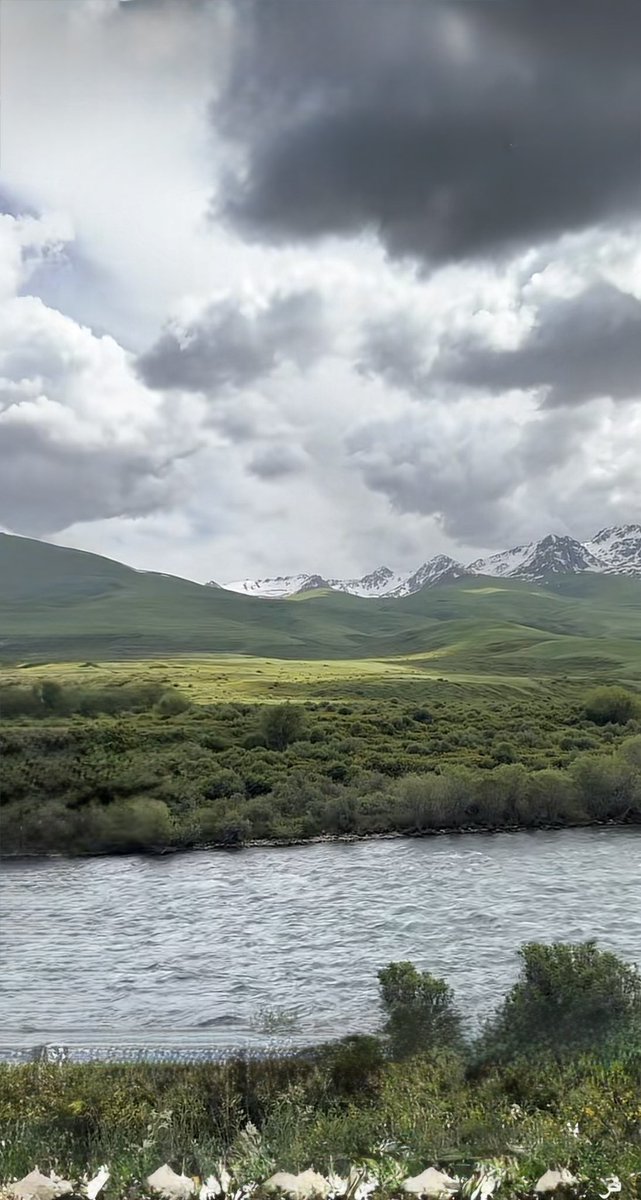 وتبوح العين بشوق تاه اللسان عن قوله .