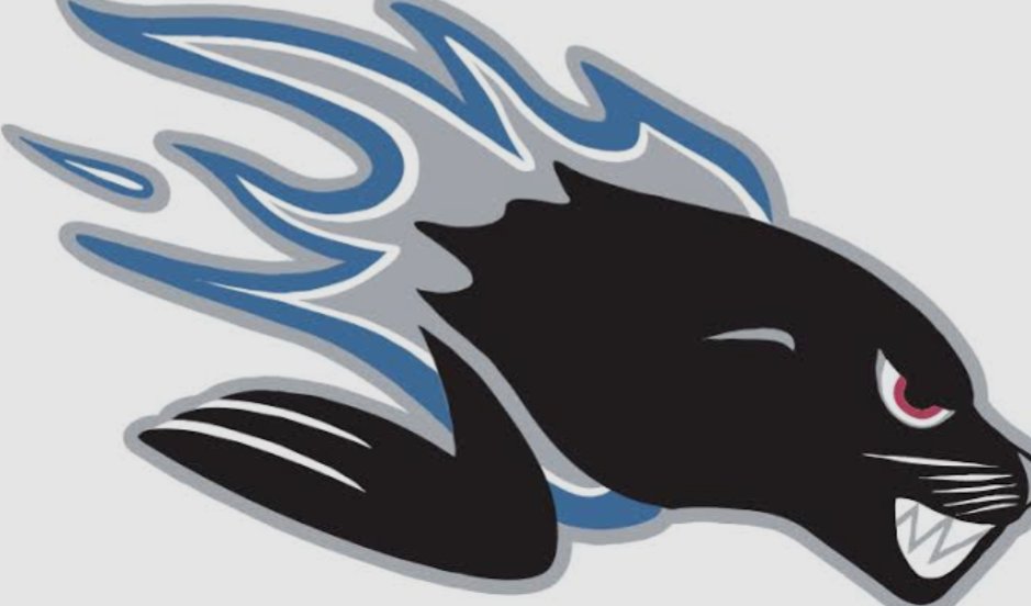 JacobBillingt10's tweet image. Old vs. New
There will be a new logo for the Saint John Seadogs. Much sharper. Big fan. #QMJHL @SJSeaDogs