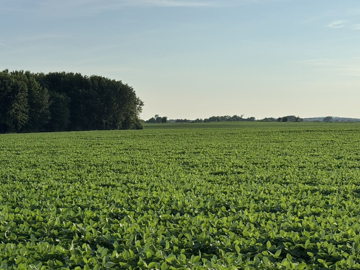 Trip around the farms tonight 
South Bruce #ontag