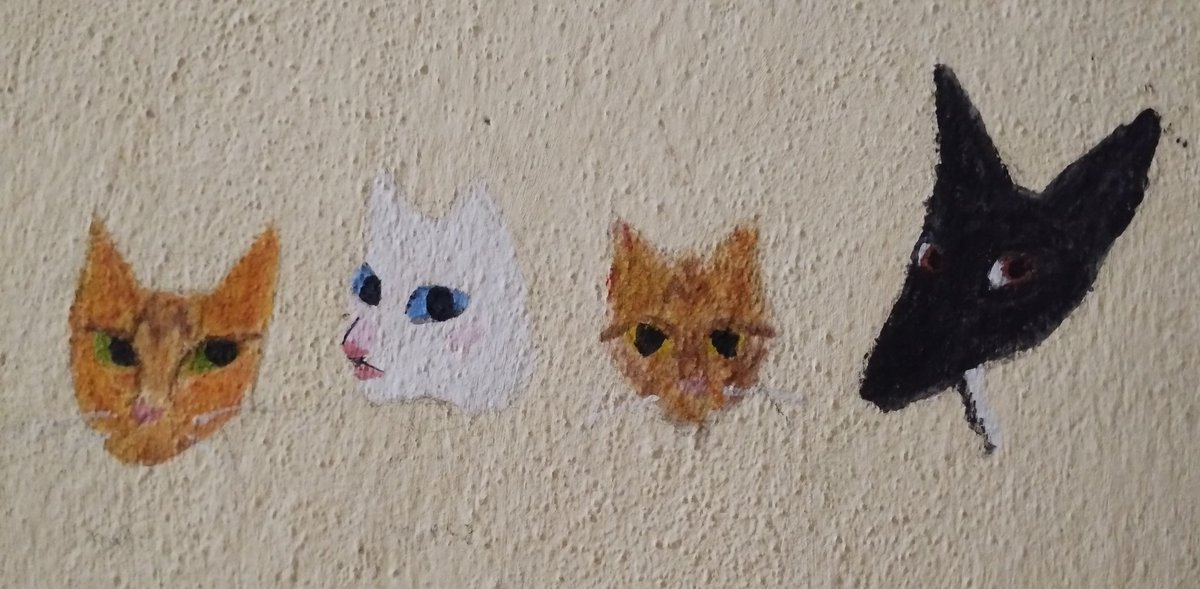 milkoele 🪽 tweet media