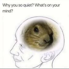 eat5G's tweet image. 