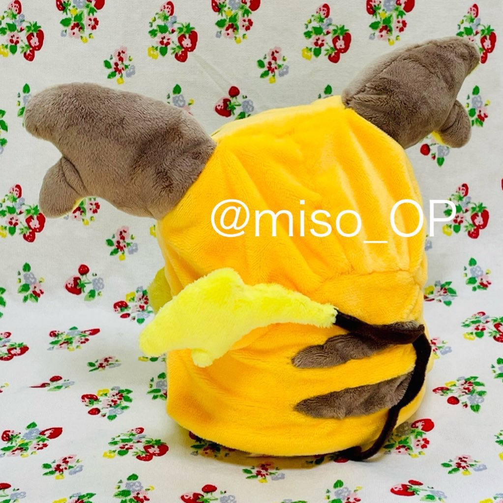 miso_nui's tweet image. ライチュウポンチョは自作です🪡
全部手縫いしてます⚡️
