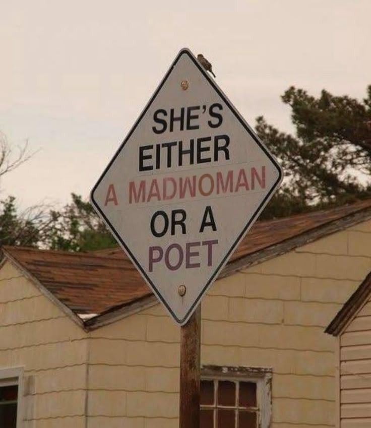 ONLY POEMS (@onlypoemsmag) on Twitter photo 