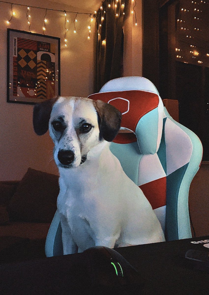 Ladies and gentlemen… the next viral streamer has entered the chat 👀
