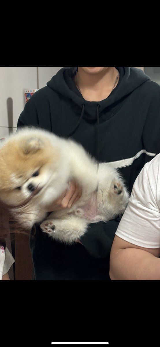 연못으로갈테야