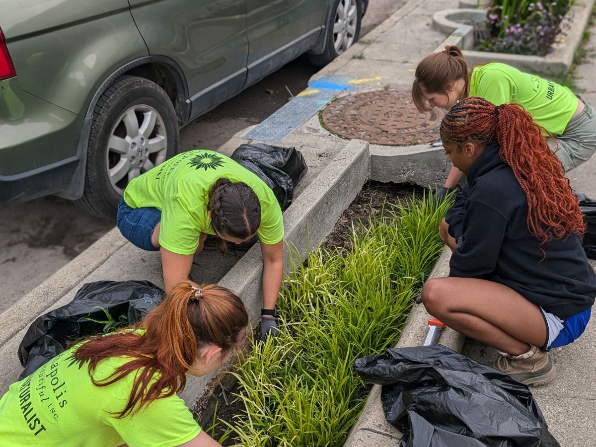kibiorg's tweet photo. Our Urban Naturalists have been hard at work maintaining the stormwater planters at CSO 33—the site where the UN program began in 2015! 

This project was designed to combat Indy’s combined sewer overflow and protect our waterways, and it remains a key part of our work today. https://t.co/764YNr9grx