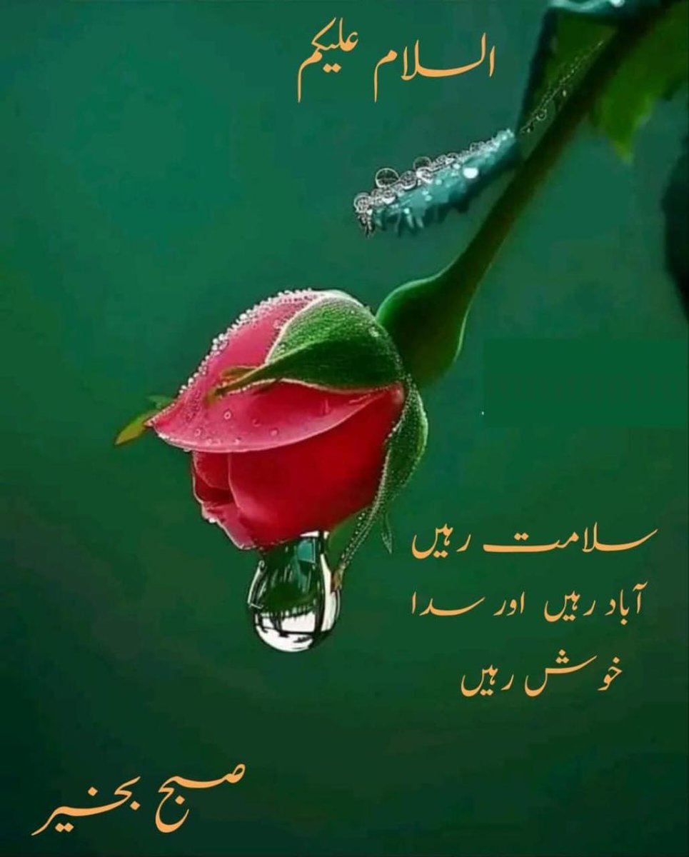 #داستان_دل
السلام علیکم!                                                                             
جو لوگ صبح و شام اپنے پروردگار کو پکارتے ہیں اسکی رضا کے طلب رکھتے ھیں، صبر کرتے ہیں، ان کيلۓ الله پاک کی رحمتوں کے دروازے کهول دیے جاتے ھیں.