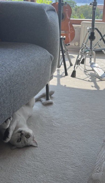 Mertin harryi st atmasını da özledim ya🥹