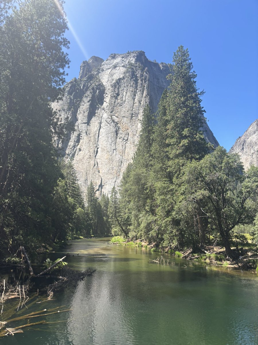 ccambises's tweet image. Hello @MariposaCounty!
42/58 California counties ✅
Oh, and @YosemiteNPS