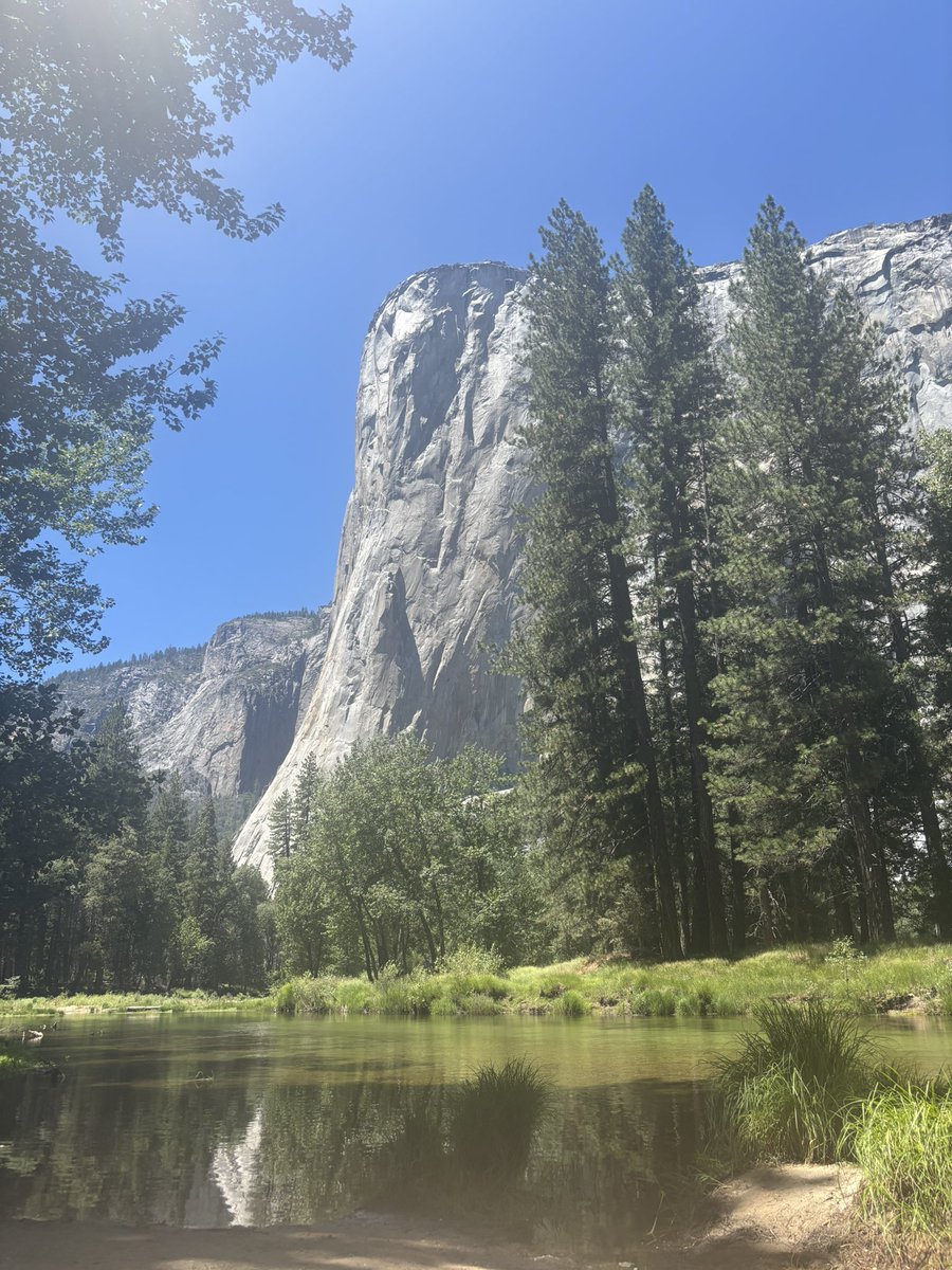 ccambises's tweet image. Hello @MariposaCounty!
42/58 California counties ✅
Oh, and @YosemiteNPS