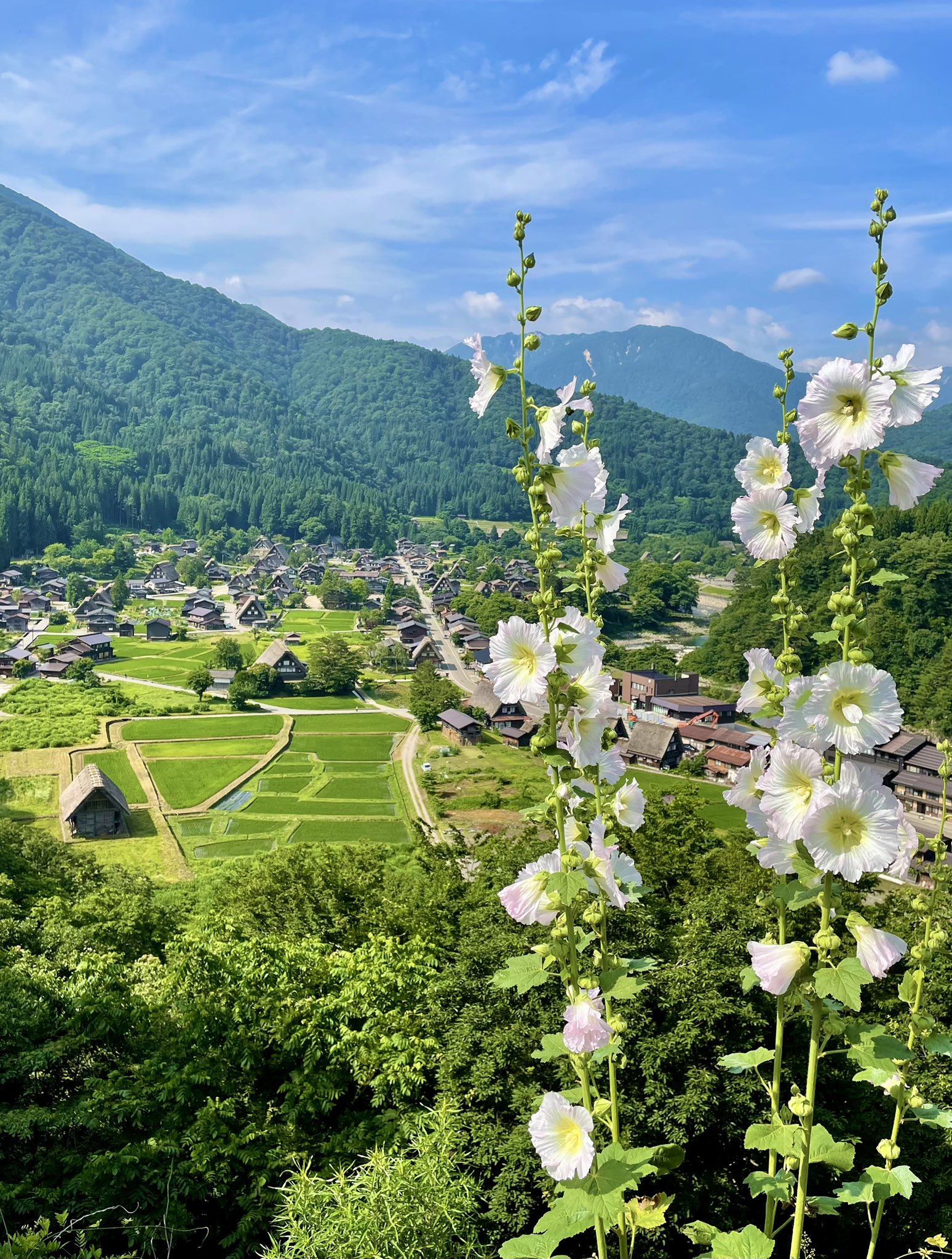白川郷天守閣 限定 特大タペストリー ひぐらしのなく頃に のれんタペストリー 白川郷天守閣 限定 特大タペストリー ひぐらしのなく頃に のれん
