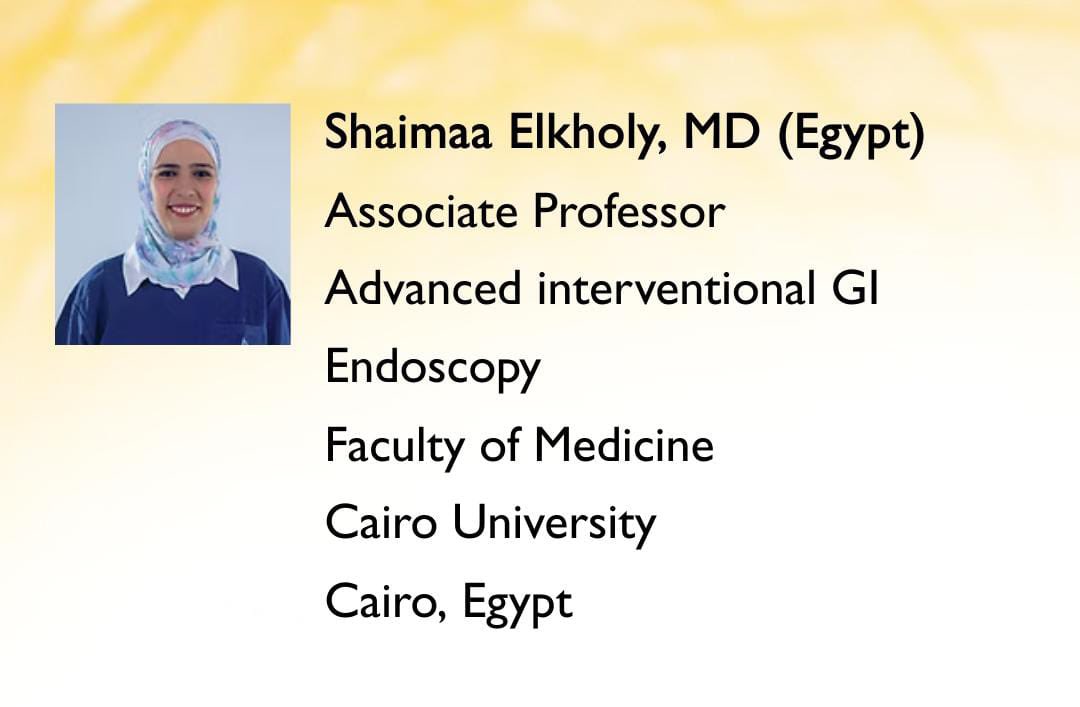 shaimaa elkholy tweet media