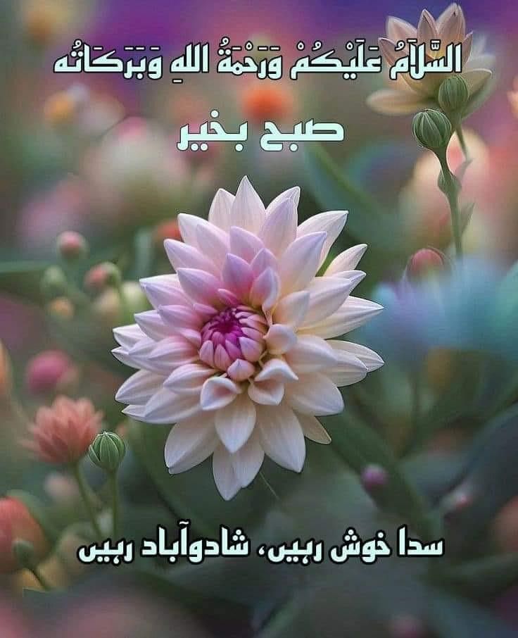 #داستان_دل
السلام علیکم!
 پتہ ہے ہم بے سکون تب ہوتے ہیں جب ہم اللہ پر اُس طرح سے یقین نہیں رکھتے جیسے رکھنا چاہیے، تب ہی ہمارا دل بے چین رہتا ہے اور ہر چیز بے معنی اور اُداس سی لگتی ہے۔ ❤️ 💯