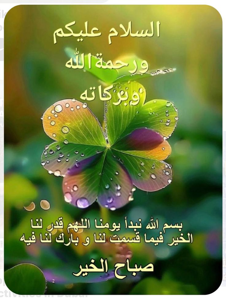 #داستان_دل
السلام علیکم!
 پتہ ہے ہم بے سکون تب ہوتے ہیں جب ہم اللہ پر اُس طرح سے یقین نہیں رکھتے جیسے رکھنا چاہیے، تب ہی ہمارا دل بے چین رہتا ہے اور ہر چیز بے معنی اور اُداس سی لگتی ہے۔ ❤️ 💯